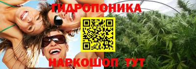 мескалин Гай