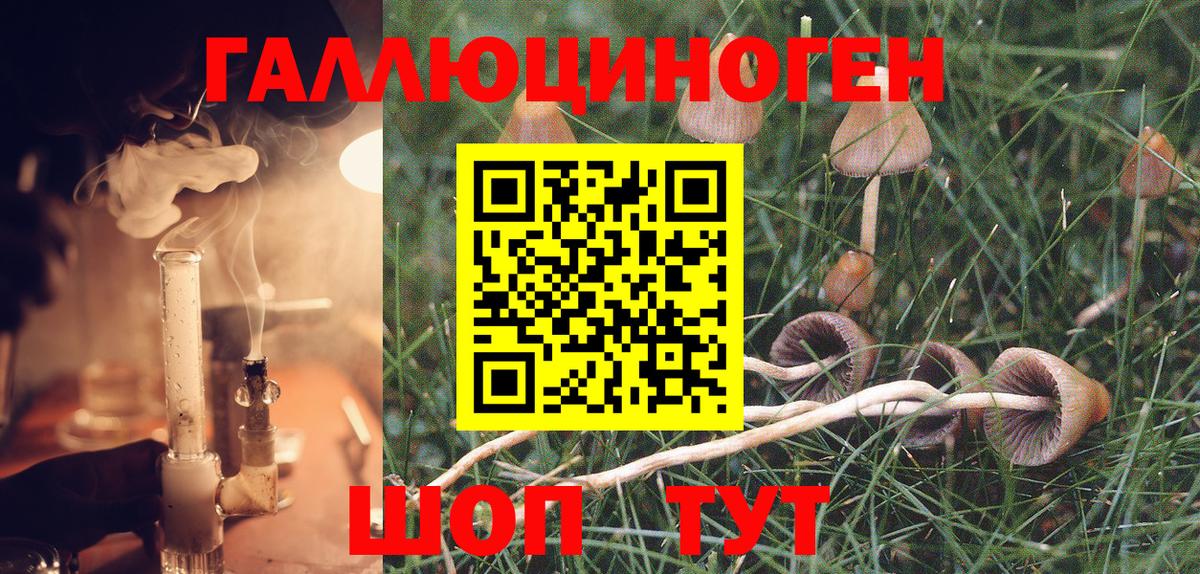 Новомосковск  Галлюциногенные грибы MAGIC MUSHROOMS  Вход с VPN  Псилоцибиновые грибы мухоморы 
